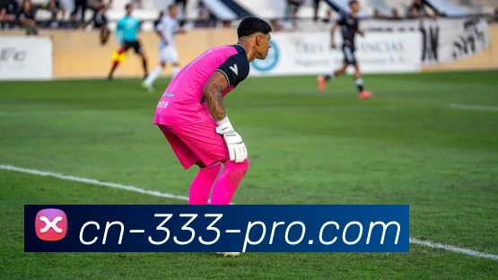 333体育平台生态图