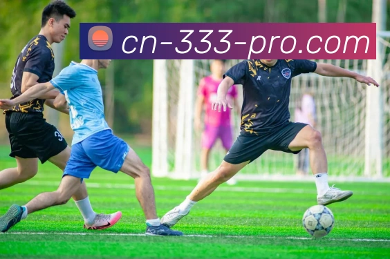 333体育APP 封面图